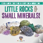 Baby - Little Rocks & Small Minerals! | Rocks And Mineral Books for Kids | Children's Rocks & Minerals Books