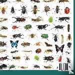 Baby - Spiders, Ticks, Mites, Scorpions and More | Insects for Kids - Arachnid Edition | Children's Bug & Spider Books