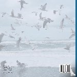 Baby - Why Do Birds Cross the Oceans? Animal Migration Facts for Kids | Children's Animal Books