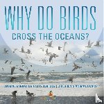 Baby - Why Do Birds Cross the Oceans? Animal Migration Facts for Kids | Children's Animal Books