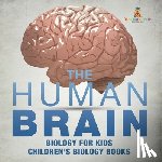 Baby - The Human Brain - Biology for Kids | Children's Biology Books