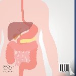 Baby - How Food Travels In The Body - Digestive System - Biology Books for Kids | Children's Biology Books