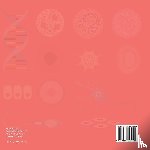 Baby - The Cell and Division Biology for Kids | Children's Biology Books