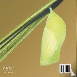Baby - Life Cycle Of Butterflies for Kids | 2nd Grade Science Edition Vol 4