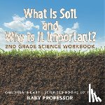 Baby - What Is Soil and Why is It Important?