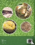 Speedy Publishing Llc - Snakes of the World