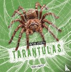 Amstutz, Lisa J. - Tarantulas