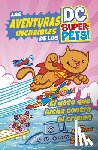 Korté, Steve - El Gato Que Lucha Contra El Crimen