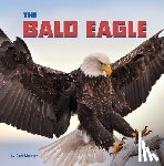 Meister, Cari - The Bald Eagle