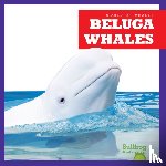 Chanez, Katie - Beluga Whales
