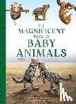 Taylor, Barbara - The Magnificent Book of Baby Animals