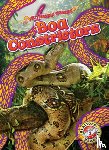 Nguyen, Suzane - Boa Constrictors