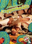 Nguyen, Suzane - Copperheads