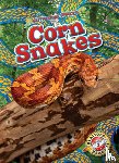 Mattern, Joanne - Corn Snakes