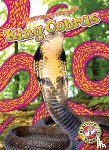 Nguyen, Suzane - King Cobras