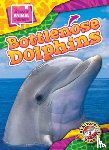 Bowman, Chris - Bottlenose Dolphins