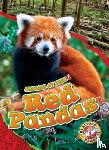 Grack, Rachel - Red Pandas