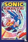 Flynn, Ian - Sonic the Hedgehog, Vol. 17: Adventure Awaits