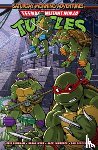Burnham, Erik, Myer, Sarah - Teenage Mutant Ninja Turtles: Saturday Morning Adventures, Vol. 3