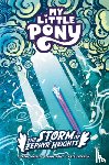 Whitley, Jeremy, Price, Andy - My Little Pony: The Storm of Zephyr Heights