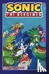 Stanley, Evan - Sonic the Hedgehog, Vol. 19: Collision Course