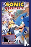 Ata, Iasmin, Jr., Daniel Barnes - Sonic the Hedgehog, Vol. 20: Cause & Effect