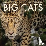 Wolfe, Art - 2026 Big Cats Wall Calendar