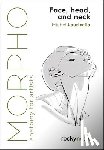 Lauricella, Michel - Morpho: Face, Head, and Neck