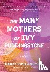 Meyers, Randy Susan - The Many Mothers of Ivy Puddingstone