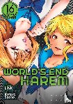 Link - World's End Harem Vol. 16 - After World