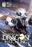 Necoco - Reincarnated as a Dragon Hatchling (Light Novel) Vol. 9