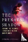 Menzam-Sills, Cherionna - The Prenatal Shadow