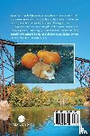 Simon, L. C. - Bridge Over Troubled Water