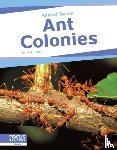 Lilley, Matt - Ant Colonies