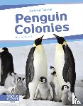Bullard, Lisa - Penguin Colonies