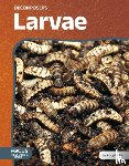 Doty, Abby - Larvae
