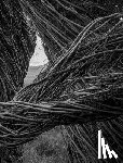 Dougherty, Patrick - Patrick Dougherty | James Florio: Sticks