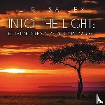 Bailey, W. R. - Into the Light