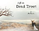 Barela, Art - Life in Dead Trees