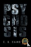 Evans, C. G. - Psychosis