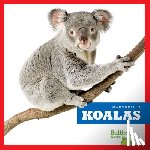 Deniston, Natalie - Koalas
