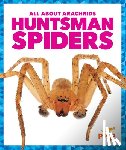 Gleisner, Jenna Lee - Huntsman Spiders