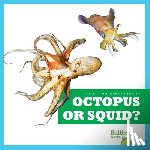 Deniston, Natalie - Octopus or Squid?