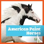 Grack, Rachel - American Paint Horses