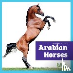 Grack, Rachel - Arabian Horses