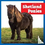 Grack, Rachel - Shetland Ponies