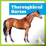 Grack, Rachel - Thoroughbred Horses