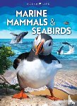 Martin, Claudia - Marine Mammals & Seabirds