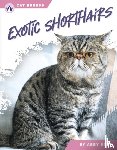 Doty, Abby - Exotic Shorthairs