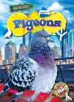 Rathburn, Betsy - Pigeons
